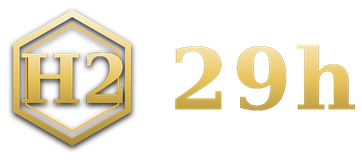 29h logo